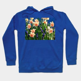 Golden Frilly Daffodils and Blue Grape Hyacinths Hoodie